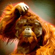 Avatar de p3ibol